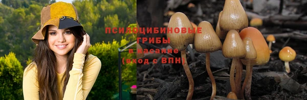 каннабис Аркадак
