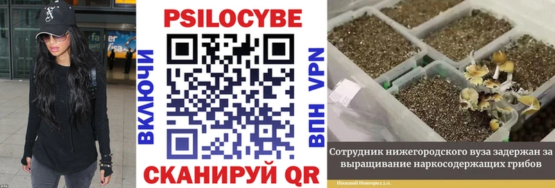 Галлюциногенные грибы Cubensis  Балабаново 